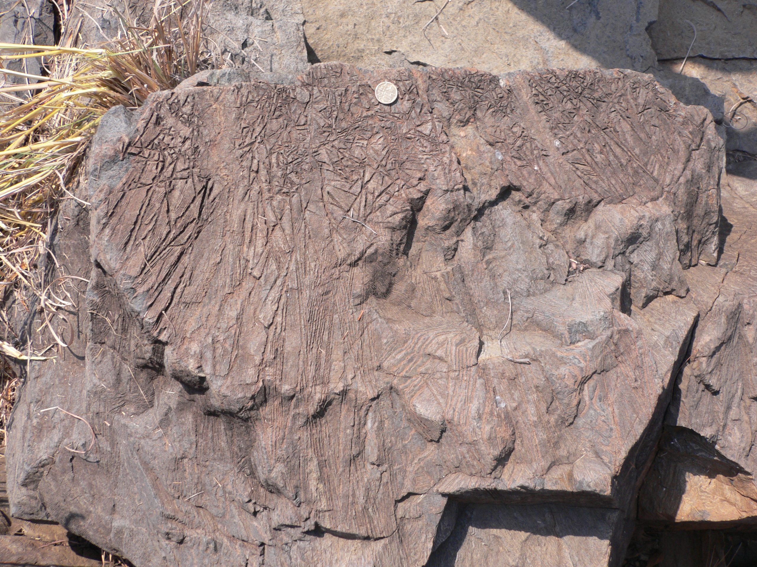 Komatiite outcrop, Gorgona Island